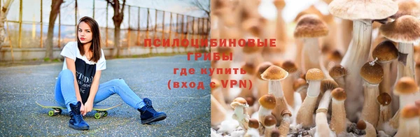 твердый Алексеевка