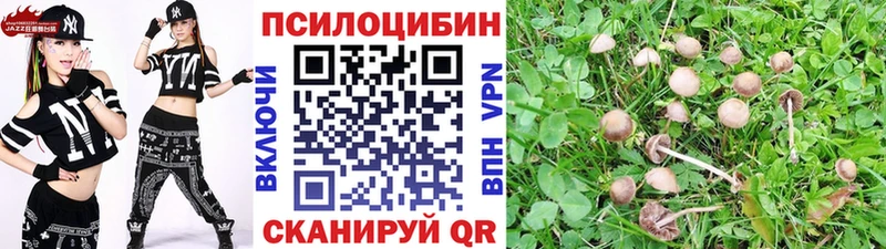 где можно купить наркотик  Лукоянов  Псилоцибиновые грибы Cubensis 